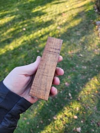 Image 2 of Tasmanian Blackwood 34