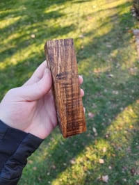 Image 3 of Tasmanian Blackwood 34