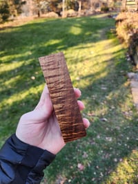 Image 1 of Tasmanian Blackwood 36