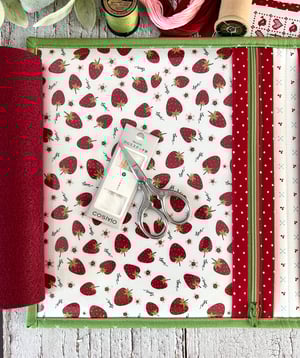 Image of Simple Stitching Organizer/2 Vinyl Zip Pockets/Aqua Poppie Cotton