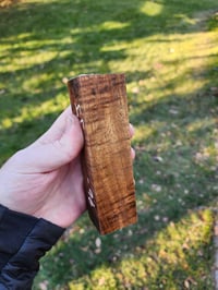 Image 1 of Tasmanian Blackwood 37