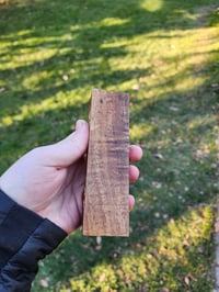 Image 2 of Tasmanian Blackwood 37