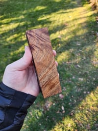 Image 2 of Tasmanian Blackwood 38