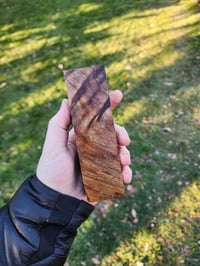 Image 1 of Tasmanian Blackwood 38