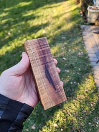 Image 3 of Tasmanian Blackwood 40