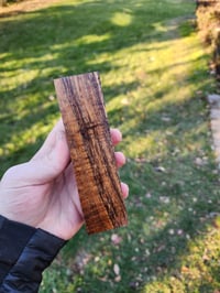 Image 2 of Tasmanian Blackwood 41