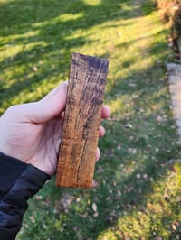 Image 1 of Tasmanian Blackwood 41