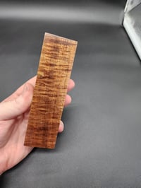 Image 3 of Tasmanian Blackwood 42
