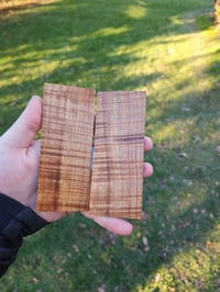 Image 2 of Tasmanian Blackwood 43