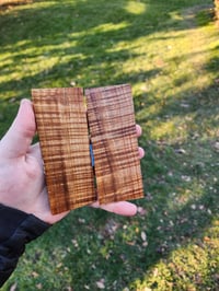 Image 1 of Tasmanian Blackwood 43