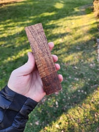 Image 2 of Tasmanian Blackwood 44
