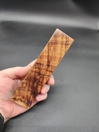 Image 3 of Tasmanian Blackwood 45