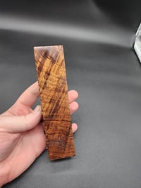 Image 4 of Tasmanian Blackwood 45