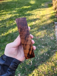Image 2 of Tasmanian Blackwood 45