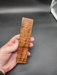 Image 1 of Tasmanian Blackwood 46