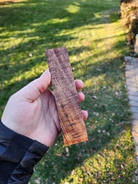 Image 2 of Tasmanian Blackwood 46