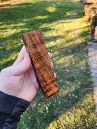 Image 3 of Tasmanian Blackwood 46