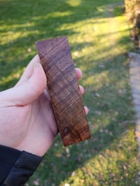 Image 3 of Tasmanian Blackwood 47