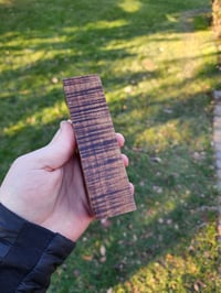 Image 2 of Tasmanian Blackwood 48