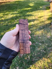 Image 2 of Tasmanian Blackwood 49