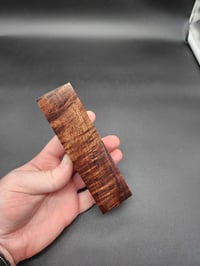 Image 5 of Tasmanian Blackwood 49