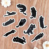 Scrunkly Cat Temporary Tattoos