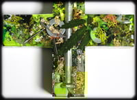 Image 2 of H E A L 12" cross 50% OFF