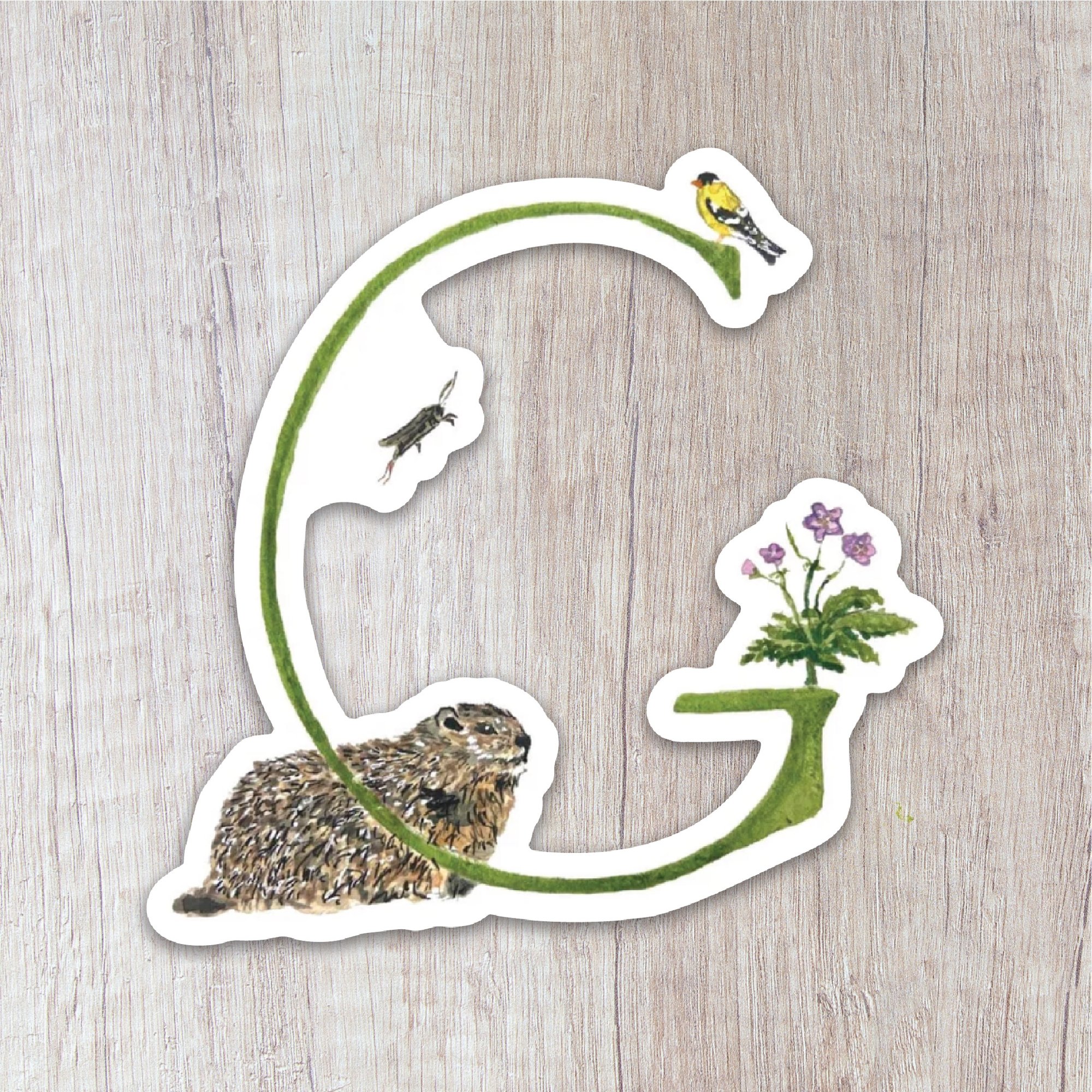 Letter G Sticker | Brush & Bark