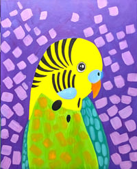 Colourful Budgerigar - Acrylic on Canvas -  for students in Grade 5 and  over  27th Jan 2pm.