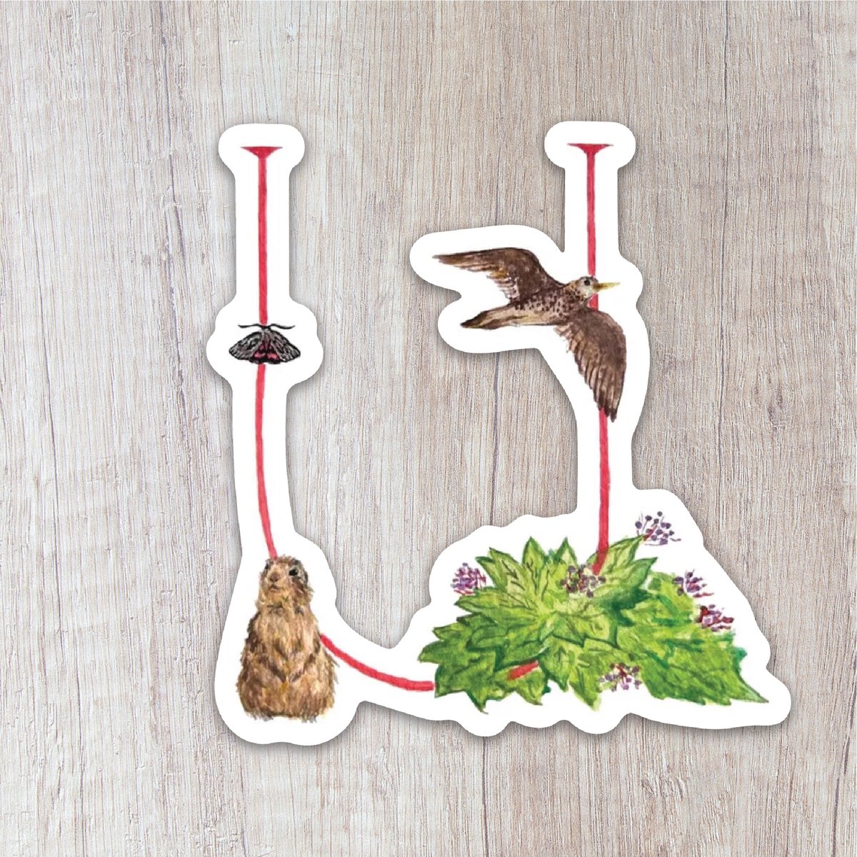 Letter U Sticker | Brush & Bark