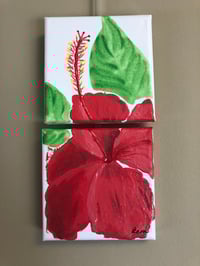 Hibiscus