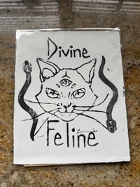 Image 1 of Divine Feline