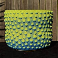 Image 1 of Green/Blue Dotted Planter 1