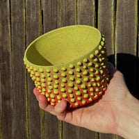 Image 3 of Red/Yellow Dotted Planter