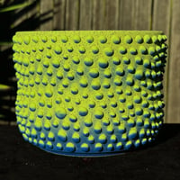 Image 1 of Green/Blue Dotted Planter 2