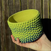 Image 3 of Green/Blue Dotted Planter 2