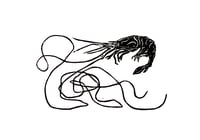 Image 1 of Shrimp Illustration Tattoo Rights
