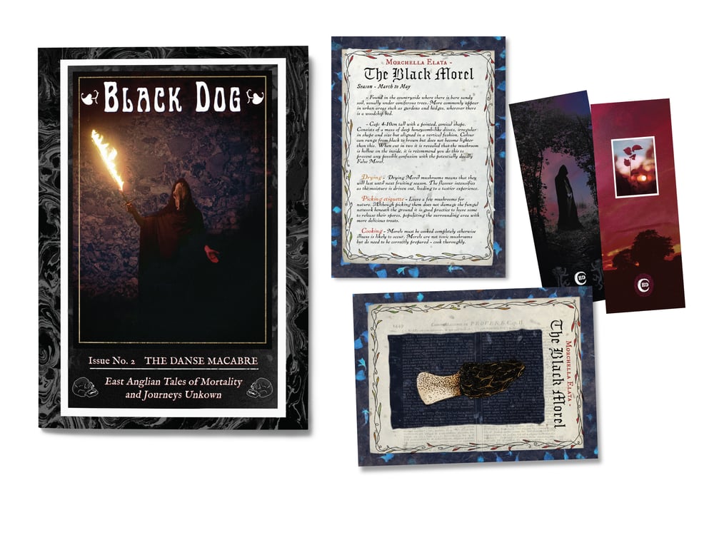 Image of Black Dog #2 - The Danse Macabre