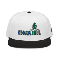 Image 1 of Cedar Hill Snapback Hat