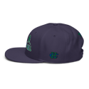 Cedar Hill Snapback Hat