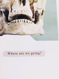Image 3 of Where are we going?