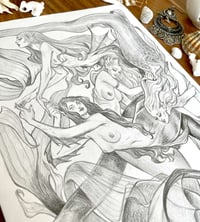 Image 5 of ORIGINAL MERMAIDS