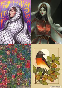 *PREORDER* Postcard for Palestine! Single lucky dip postcard