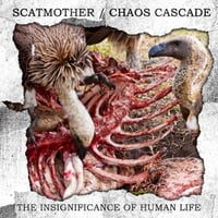 SCATMOTHER / CHAOS CASCADE ‎– THE INSIGNIFICANCE OF HUMAN LIFE (DUNKELHEIT PRODUKTIONEN)