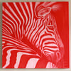 Zebra in Red