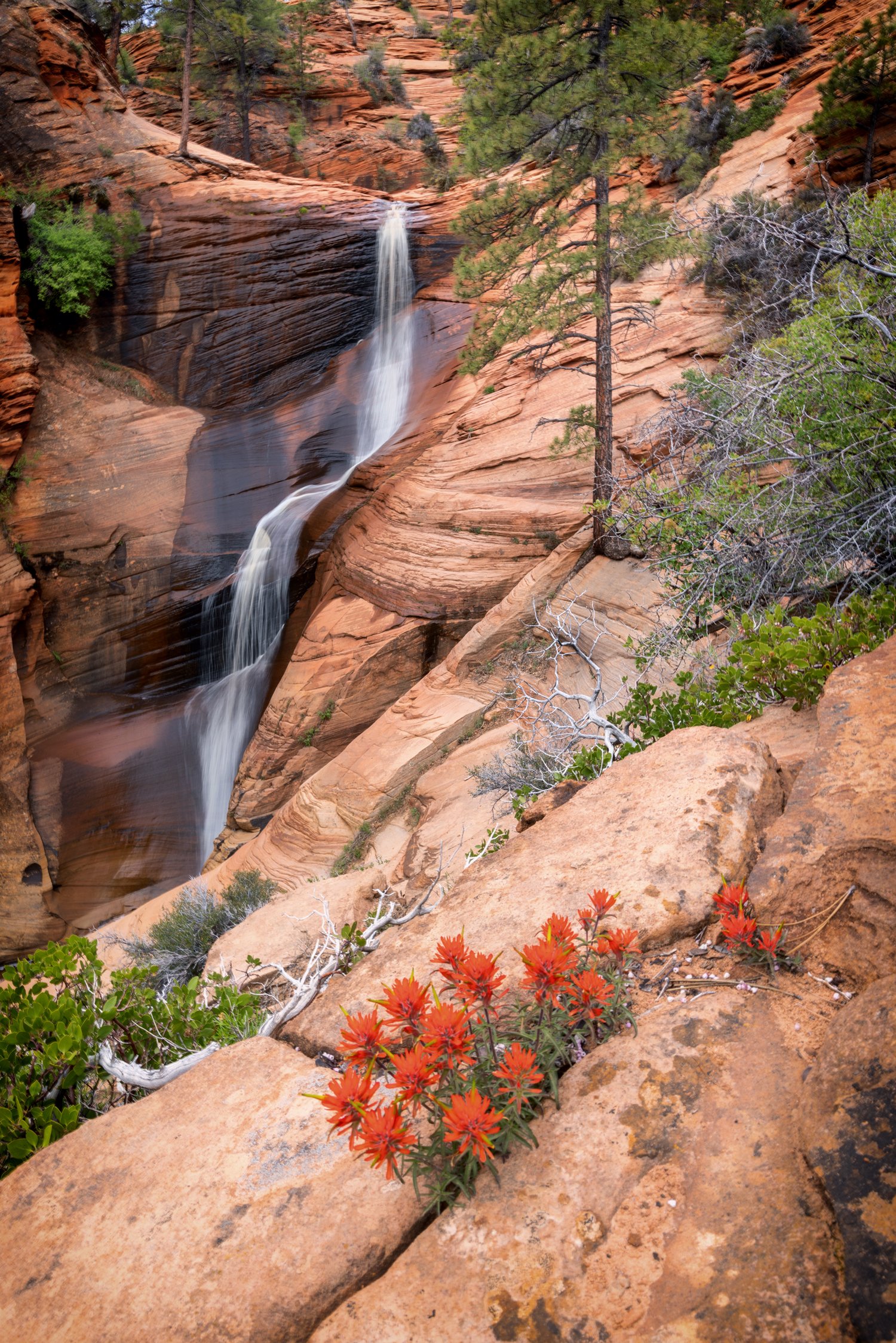 Image of Desert Falls