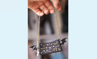 Image 2 of Chic Handbag