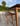 Mid Century Table | Solid White Oak | Solid Walnut | Solid Cherry | MCM Table