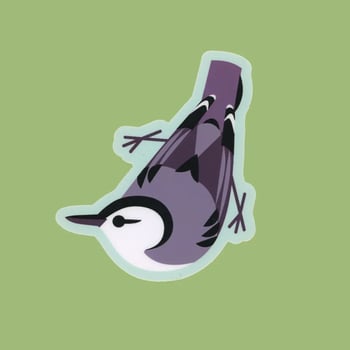 Sticker of  White-breasted nuthatch