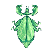 Image of Leaf Bug Sticker